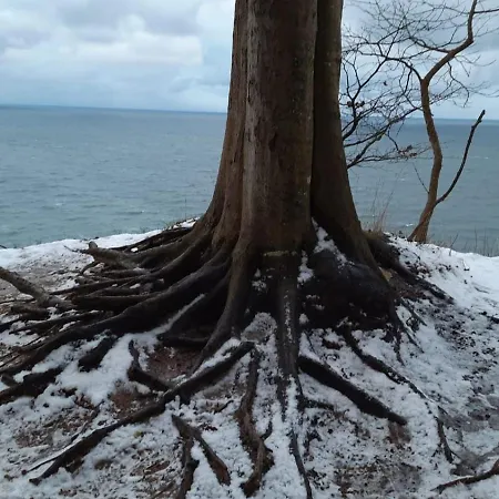 Schernau * Sellin (Rugen)
